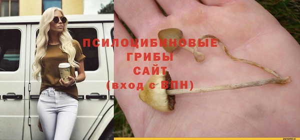 спайс Горняк