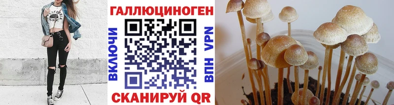 Купить закладки  Ахтубинск  Псилоцибиновые грибы MAGIC MUSHROOMS 