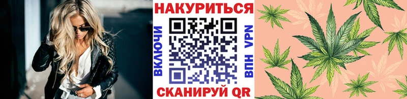 Купить где  Ахтубинск  Бошки Шишки ГИДРОПОН 